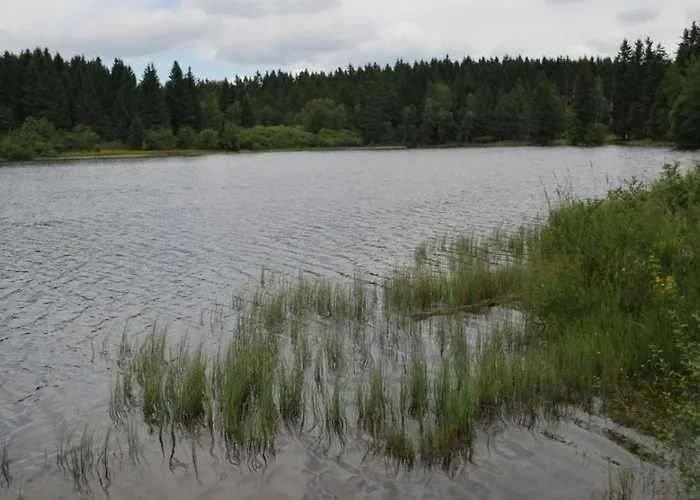 Kamin Курортный комплекс Клаусталь-Целлерфельд